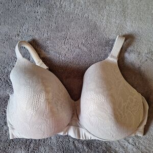 Cacique Layne Bryant Bra